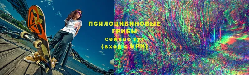 где купить наркоту  площадка состав  Галлюциногенные грибы Psilocybe  Бирюсинск 