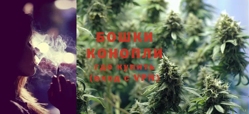 Бошки марихуана OG Kush  наркошоп  Бирюсинск 